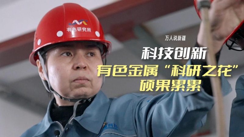 微服务治理：服务网格的实践之道**